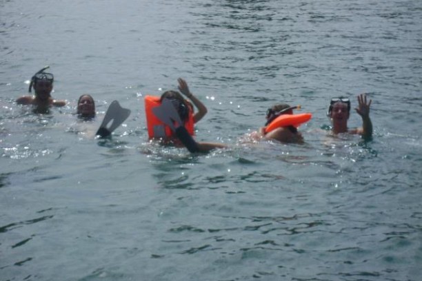 a group of people swimming in a body of water