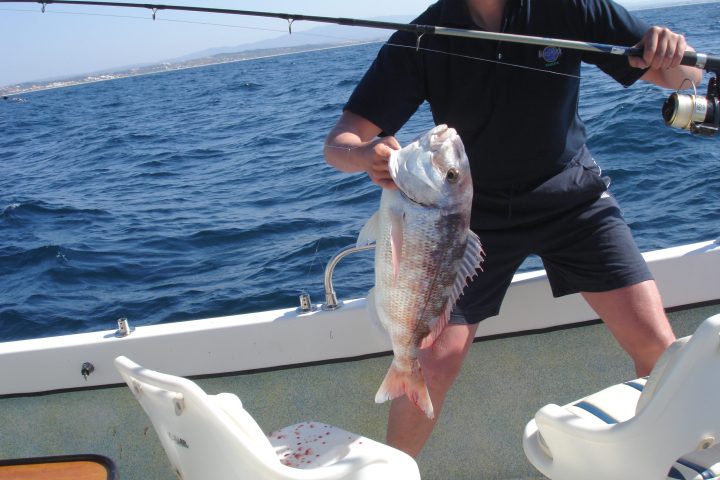 a person holding a fish on a boat in the water