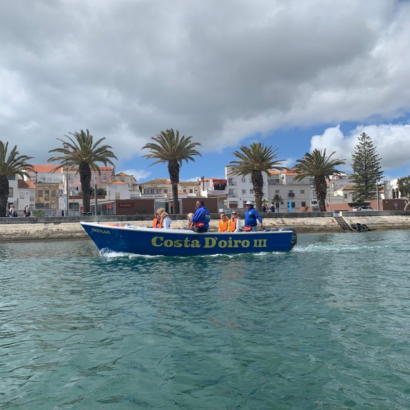 a boat on a body of water